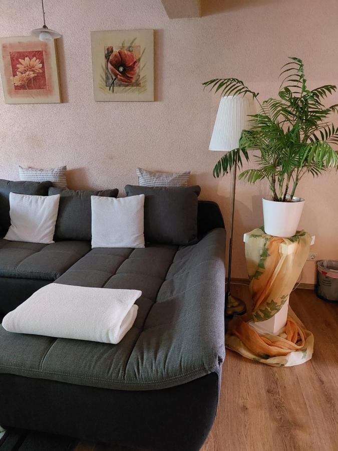 Apartment Dietze Machern Extérieur photo
